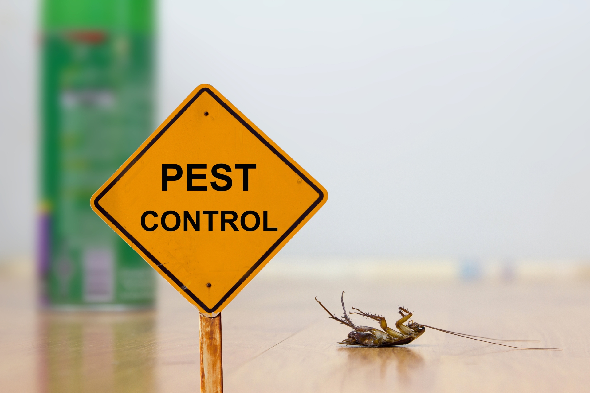 24 Hour Pest Control, Pest Control in East Ham, Beckton, E6. Call Now 020 8166 9746