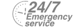 24/7 Emergency Service Pest Control in East Ham, Beckton, E6. Call Now! 020 8166 9746